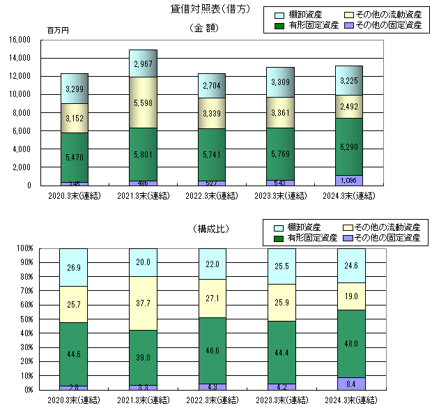 貸借対照表（借方）