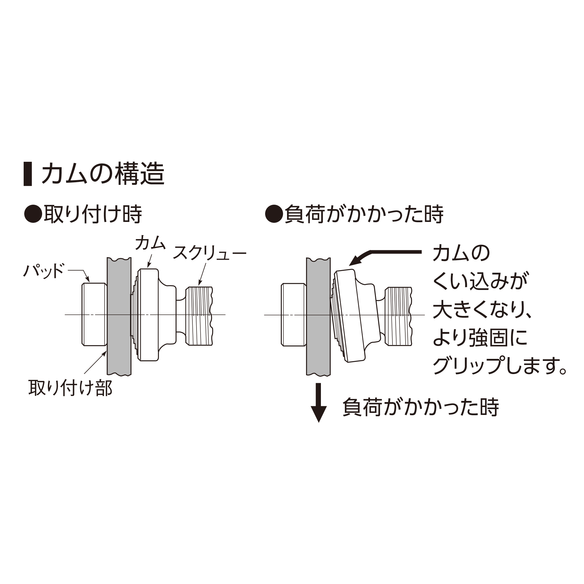 スライド画像