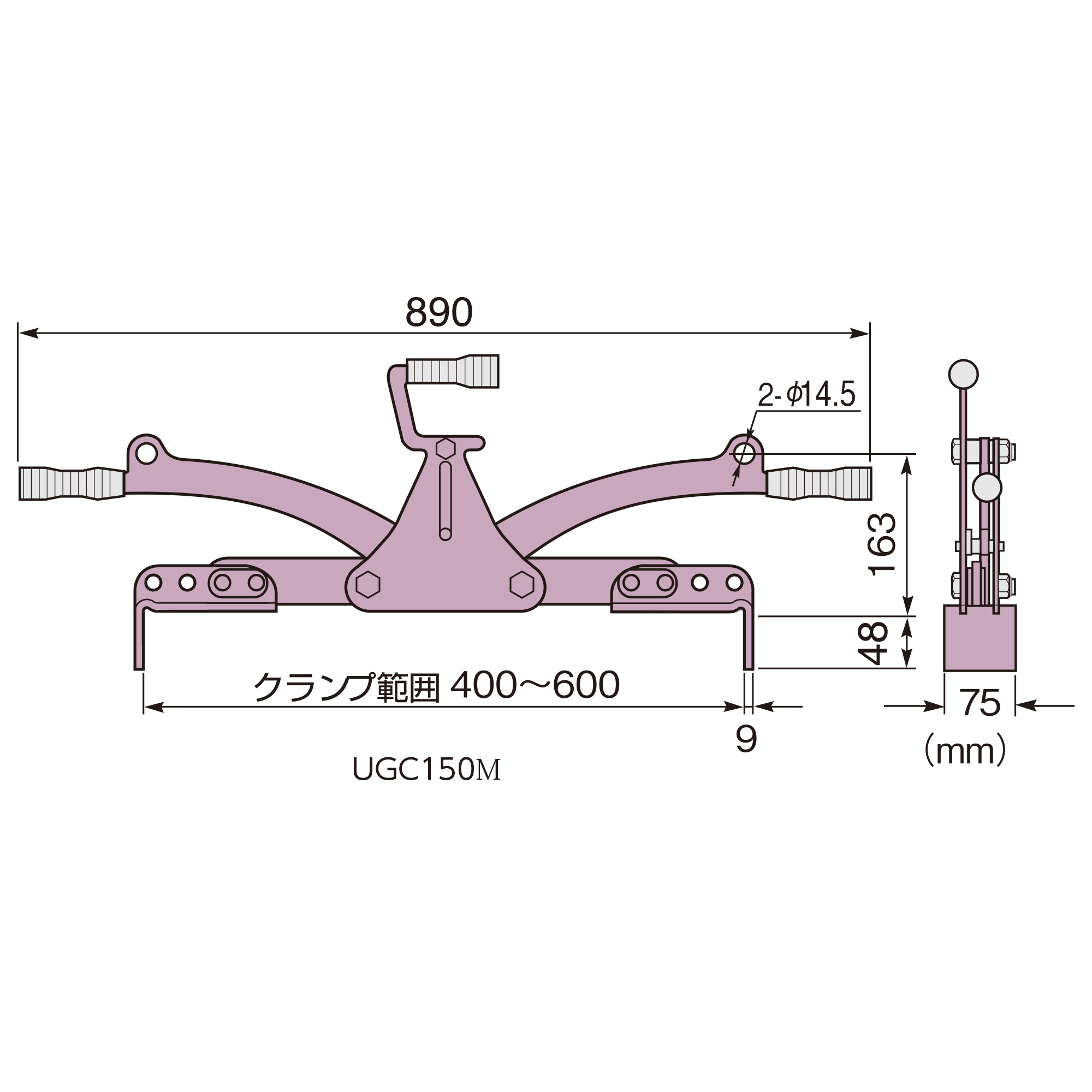 スライド画像